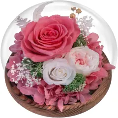 Pink Roses Preserved Real Flower in Glass Dome
