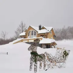 Light-Up Coffee Reindeer with Sleigh Outdoor Christmas Decoration Set 19.69 x 7.28 x 16.14 in