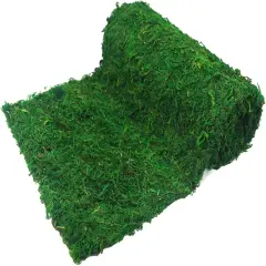 Moss Table Runner Dried Moss for Crafts Green Moss Roll for Fairy Gardens Wedding Woodland Decor 12" x 106" Preserved Moss Mat for Table Decoration Moss Carpet for Moss Grass Wall