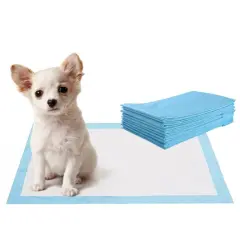 Sky Blue 24 Inch Pet Wee Pee Piddle Pad with Bibulous Paper Ideal for Indoor Pets