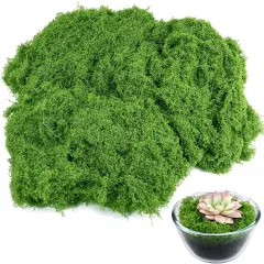 Fake Green Moss for Potted Plants, 5.3OZ Moss Decor Artificial Faux Moss for Crafts Preserved Moss for DIY Decorative Moss Table Centerpieces Decor Fairy Garden Floral Wedding