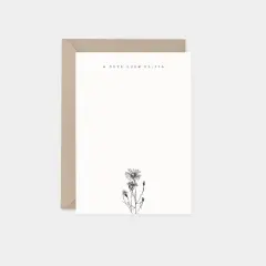 Aster Botanical Note Cards III