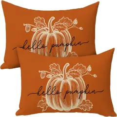 Pillow Covers 12 x 20 Set of 2, Rectangular Orange Autumn Outdoor Home Decor,