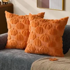 Set of 2 Fall Orange Pumpkin Throw Pillow Covers 20x20
