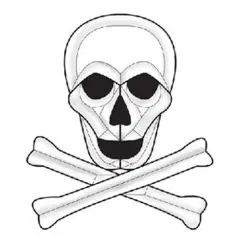 8-1/8" x 9-1/2" Exquisite Clear Glass Skull & Cross Bones Bevel Cluster EC863