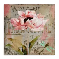 Stupell Industries French Vintage Blossom Canvas Design by Sasha