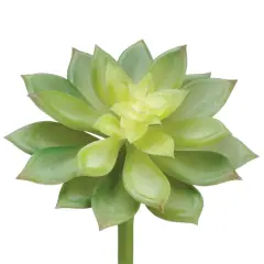 Allstate Echeveria Artificial Pick Spray - 10" - Green