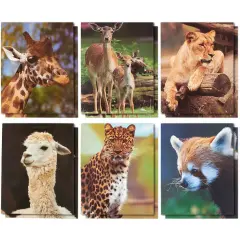 Wild Animal File Folders with Pockets, School Supplies (9.5 x 12 In, 12 Pack) Multicolor