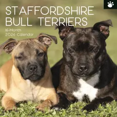 The Gifted Stationary 2026 Square Wall Calendar, Staffordshire Bull Terriers, 16-Month Animals Theme with 180 Reminder Stickers (12 x 12 In) Multicolor