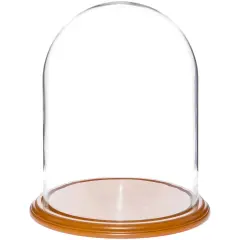 Plymor 11.75" x 15" Glass Display Dome Cloche Oak Veneer