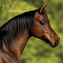 The Gifted Stationary 2026 Square Wall Calendar, Horses, 16-Month Animals Theme Hanging Calendar with 180 Reminder Stickers, Month Planner for Home, or Creative Spaces, 12x12 In Multicolor