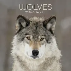 The Gifted Stationary 2026 Square Wall Calendar, Wolves, 16-Month Animals Theme Hanging Calendar with 180 Reminder Stickers, Month Planner for Home, or Creative Spaces, 12x12 In Multicolor