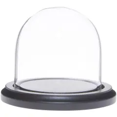 Plymor 3" x 3" Glass Display Dome Cloche Black Wood