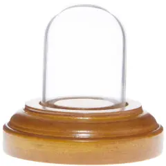 Plymor Miniature 1" x 1.5" Mini Glass Display Dome TINY Cloche Oak Veneer