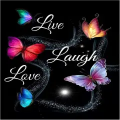 Diamond Kits for Adults and Beginners Drill