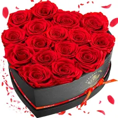 16-Piece Preserved Rose Birthday Gifts for Women - Red Roses