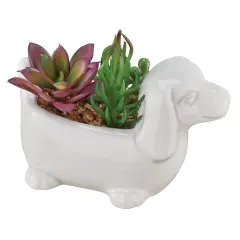 Collections Etc Faux Succulent Arrangement in White Ceramic Dachshund Pot