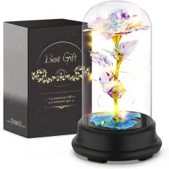 Preserved Flower Rose Gift in A Dome