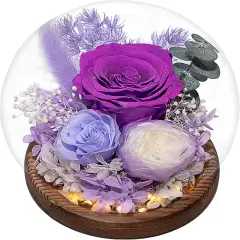 Flowers for Delivery Preserved Rose Gifts for Women
