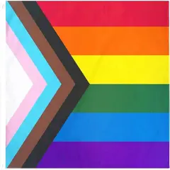 Progress Pride Rainbow Flag 3x5 ft LGBTQ Gay Pride Flags All Inlcusive Progressive Bisexual Non Binary Lesbian Transgender Flag Indoor Outdoor Wall