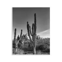 Stupell Industries Cactus Field & Vast Sky Wall Plaque, design by Norm Stelfox