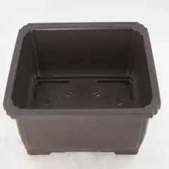Rectangular Plastic Bonsai / Succulent Pot 10.5"x 7.75"x 3.5" - Dark Brown