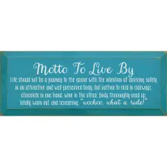 Solid Knotty Pine Wall Art, Chocolate-Wine Quote, Motivational Decor Turquoise-White