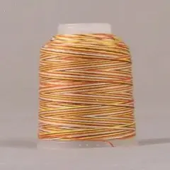 Jeans Stitch #3VA - Earthtone Variegated Mini Cone