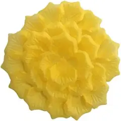 Pound Yellow Rose Petals,2500 Pcs Fake Yellow Flower Pedals for Weddings,Silk Flower Petals Yellow Silk Rose Petals