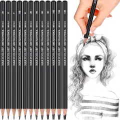 Professional Drawing Sketching Pencil Set - 12 Pieces,Graphite,(14B - 2H), Graphite Drawing, Artist Pencils for Beginners，Shading，Sketching,Drawing Art