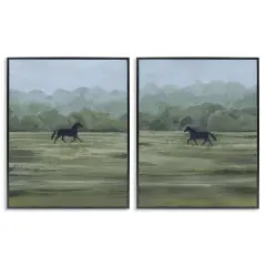 Stupell Industries Rider's Shadow Horses 2pc Framed Giclee Set By Grace Popp