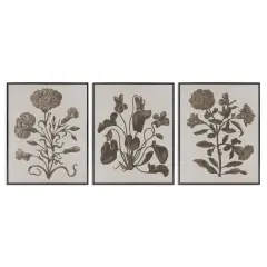 Stupell Industries Vintage Country Botanicals 3pc Framed Giclee Wall Art Set Design by Lil' Rue