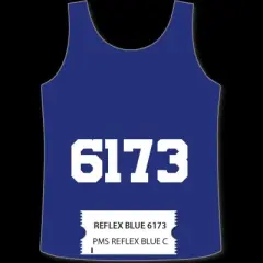 International Coatings Cool Sport Inks 6173 Reflex Blue C