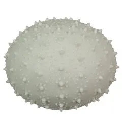 8.5" Resin LED Sea Urchin Accent Lamp - Nautical Decor