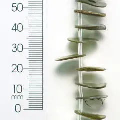 6 Packs of Button Tinted Shell Beads - Olive - 15mm - 2 x 8" Strand