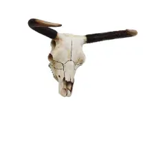 Small Bull Skull Life Size Statue