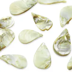 6 Packs of Tinted Shell Fan Natural 2/8" Strand