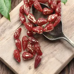 *10* 13x8mm Antique Gold Splattered Red Opaline Melon Drop Beads