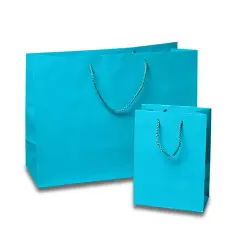 Bold Colors and Glossy Finish: Euro Totes 4 3/4'' x 2 3/4'' x 6 3/4'' Scuba Blue