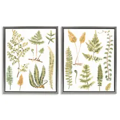 Stupell Industries Watercolor Fern Leaves 2 pc Framed Floater Canvas Wall Art Set Design by June Erica Vess