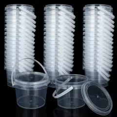 50 PCS Containers with Lids and Handles