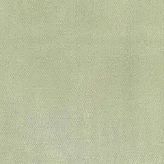 1 Yard Luminous Apple Green Crystal Organza Apparel Fabric 58/60" Width