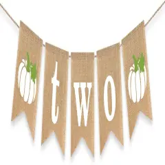 Two Pumpkin Banner 2nd Birthday Party Decoration Little Pumpkin