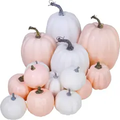 14 pcs Assorted Harvest Artificial White and Pink Pumpkins