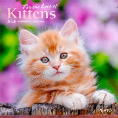 For the Love of Kittens | 2026 7 x 14 Inch (Hanging) Monthly Mini Wall Calendar | Foil Stamped Cover