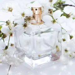 Chance Chanel (type) - Premium Fragrance Oil