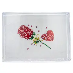 Rectangular Clear Acrylic Plastic Water Globe Picture Frame