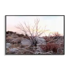 Stupell Industries Rocky Foothills Terrain Framed Giclee Design by Gemma Bardot