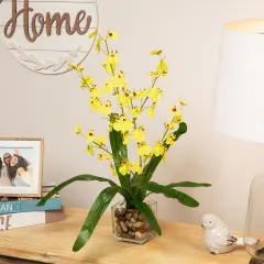 Northlight 23.5" Yellow Potted Artificial Oncidium Orchid Flower Plant Green