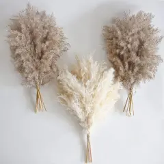 30 PCS Boho Decor, Fluffy Pompas Grass, Natural Dry Pampas Grass Small, Short Pampass Bulk for Boho Room Decor